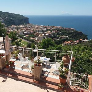 Garden On The Sea